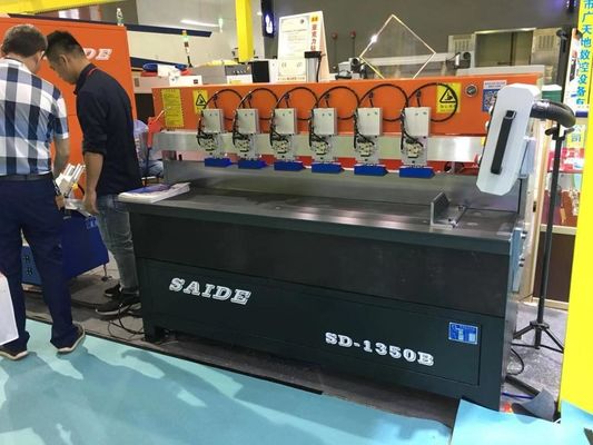 rendimento elevato elettrico della levigatrice acrilica 230-240V